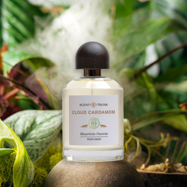 Cloud Cardamom Original Edition Scent Trunk   