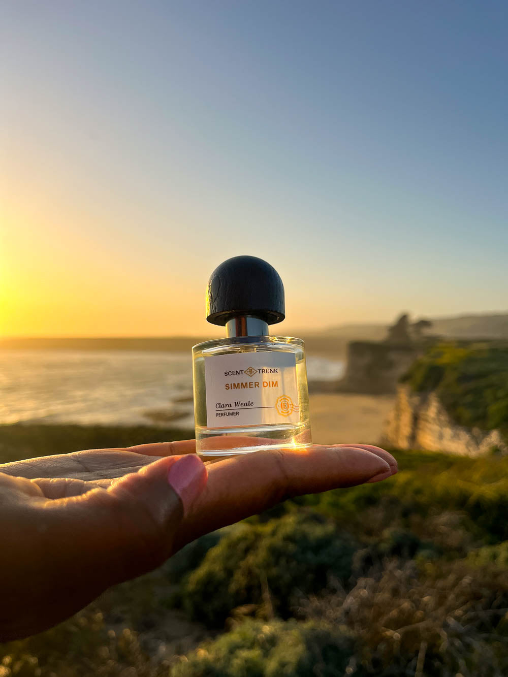 Simmer Dim Original Edition Scent Trunk