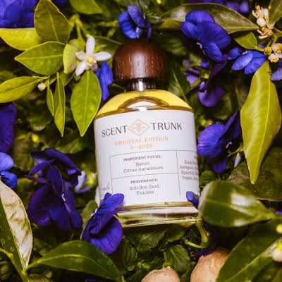 Neroli Original Edition Scent Trunk   