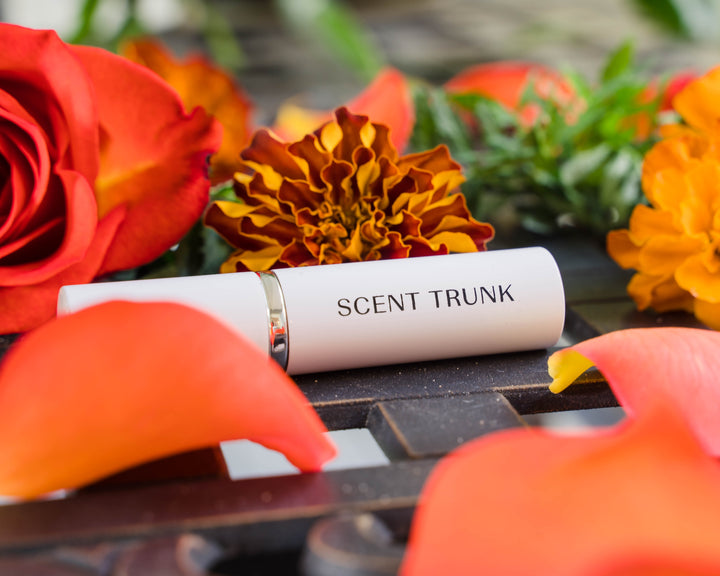 Marigold Original Edition Scent Trunk   