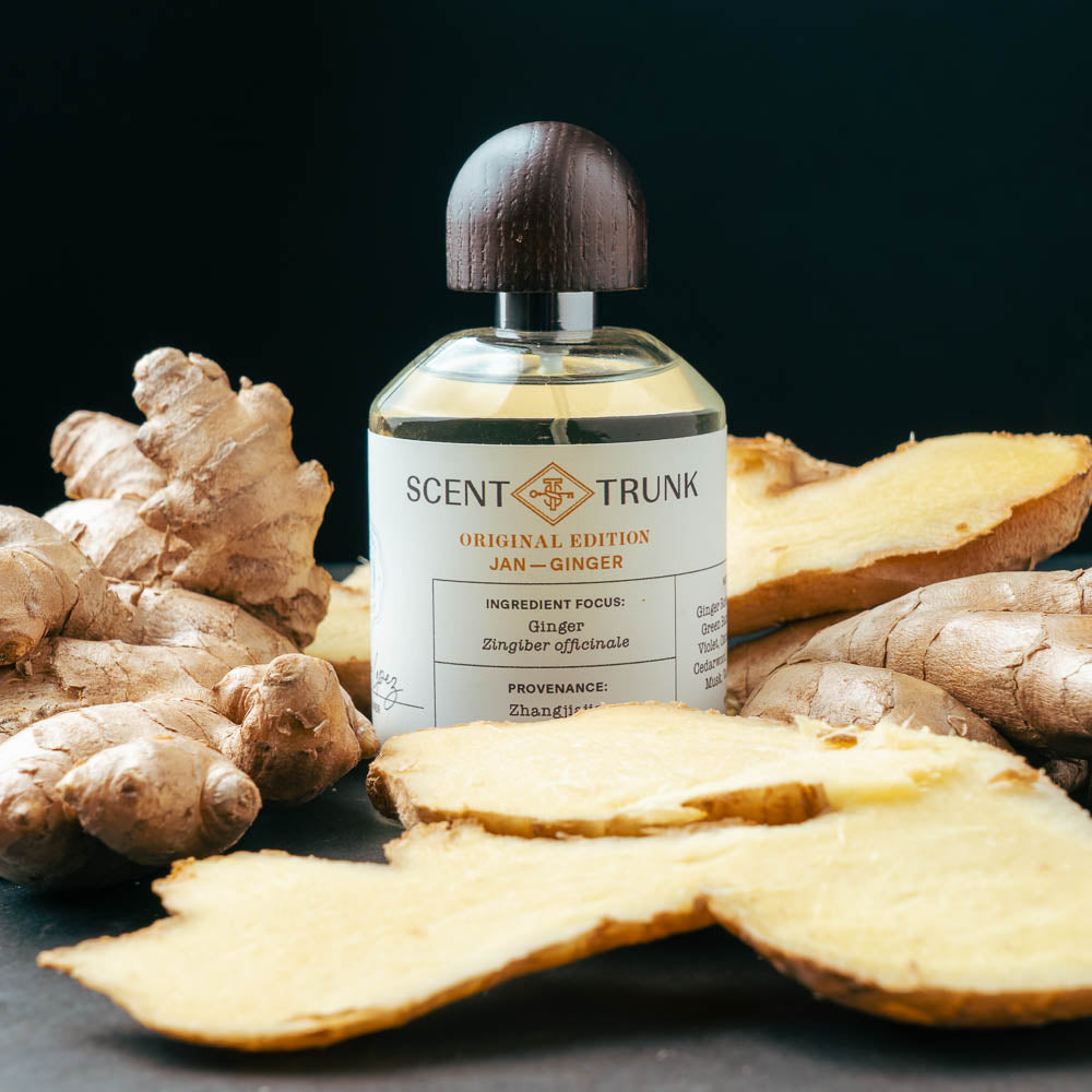 Ginger Original Edition Scent Trunk   